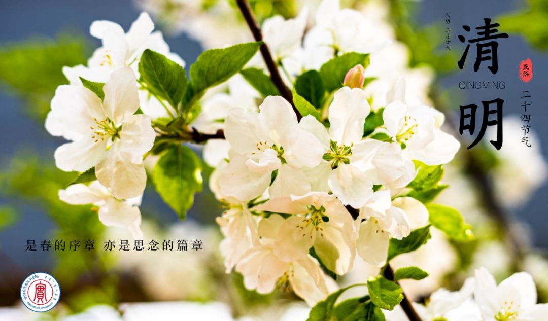 63b3c632-4c65-436e-8b14-7f86138b621a.jpg