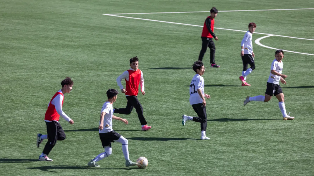 5d4177ca-2850-492a-a8f4-816a40dedfe4.jpg